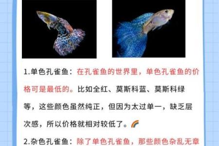 孔雀最忌三种属相 孔雀禁忌