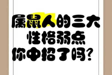 属鼠一生三大劫难 属鼠人一生三大劫