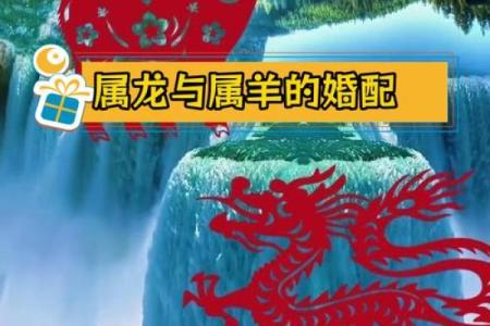 00年的龙最佳婚配是属什么 00年的龙最佳婚配是属什么呢