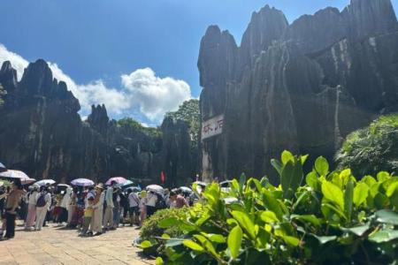 ‌龙飞凤舞打一生肖 → 蛇‌（蛇行龙舞，凤尾翩跹）