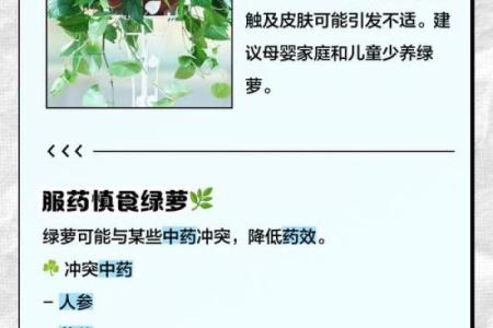 绿萝最忌三种属相 绿萝最忌三种属相
