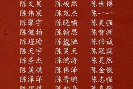 维字什么属相不能取 维在名字中的属性