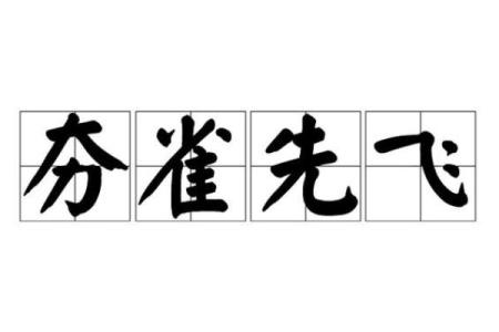 夯雀先飞打一动物谜语的正确答案和详细解析是什么？