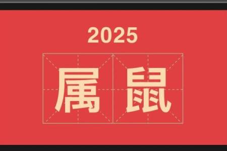1996年属鼠男2025年感情运势解析，如何避开烂桃花？