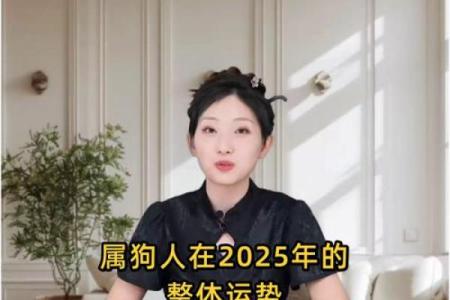 2025年属狗人穿什么颜色衣服运势最好最旺财