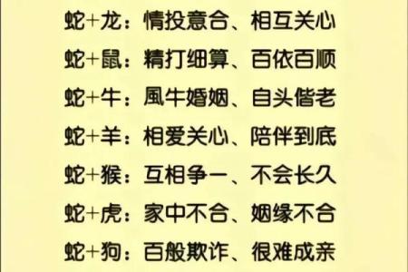 92年99年属相能婚配吗 92年99年属相能婚配吗女