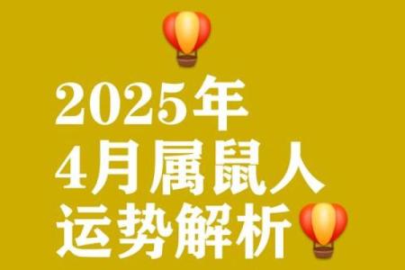 属鼠的人2025年全年运势详解，财运健康事业感情全面解析