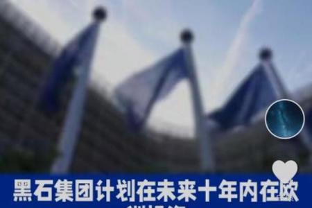 倏来忽往打一最佳生肖