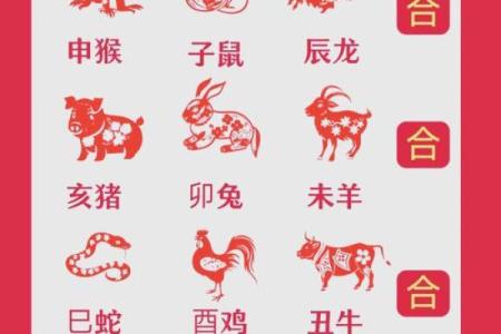 6合属相 6合属相合生合克