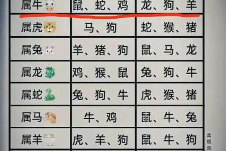 属龙女跟什么属相最配对 属龙女和属羊男婚姻相配吗
