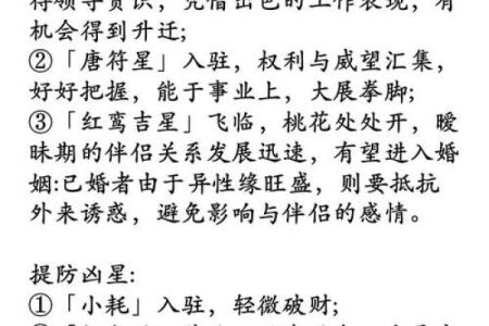 1982年出生属狗女2025年感情运势与婚姻建议完整版