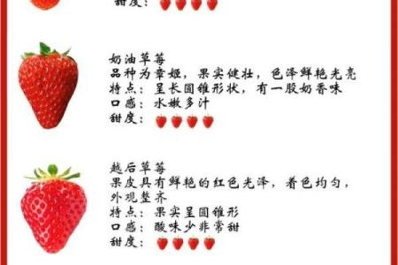 草莓不吉利三大属相 草莓对应什么