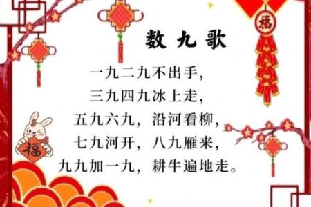 99号是什么节日(9月9号是什么节)