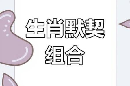 龙和鼠的婚配属相好吗 鼠的婚配属相最佳配对表