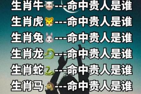 一年四季是什么生肖
