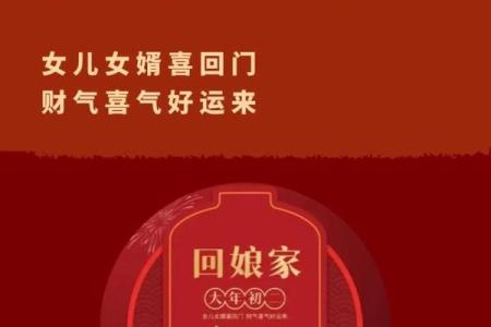正月初二回娘家免费全集 正月初二回娘家全集在线播放