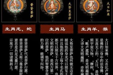九宫八卦最忌三种属相 九宫八卦属什么生肖