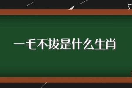 春蛙秋蝉是什么生肖