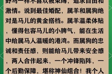 属马人最佳配偶属相 属马人最佳配偶属相鸡