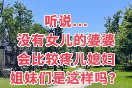 回娘家的儿媳妇 回娘家的儿媳妇BD