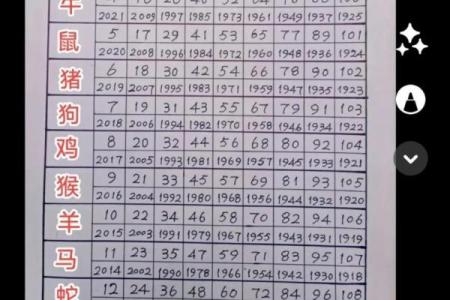 一年四季是指什么生肖(一年四季指什么生肖)