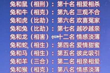 1999属什么生肖最佳配偶 1999年属什么生肖年
