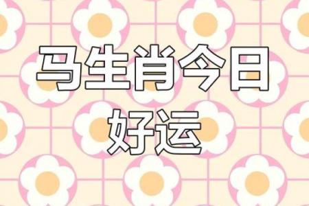 2013属马的运程 2013属马今年几岁