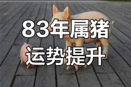 83岁是哪年出生的 83岁是哪年出生的,属什么生肖