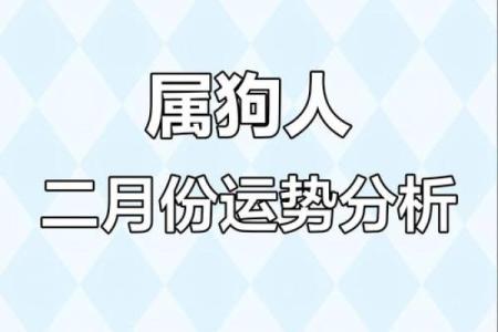 属狗人2025年全年运势详解，事业财运健康感情完整解析