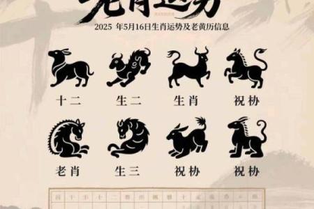 今天属什么生肖老黄历