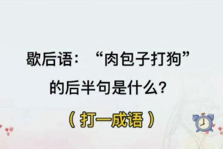 肉包打狗正确生肖是(肉包打狗的意思)