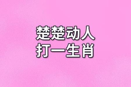 生肖中楚楚动人的代表是谁，解析其外貌与气质特点