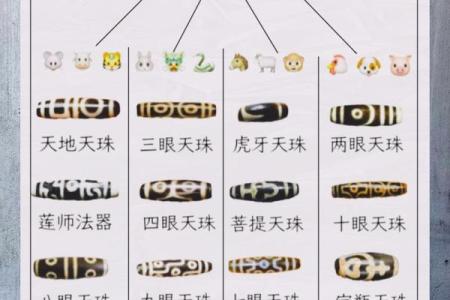 什么属相不能戴天珠 什么属相适合戴天珠