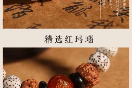 什么属相不能戴菩提 什么属相不能戴金刚菩提