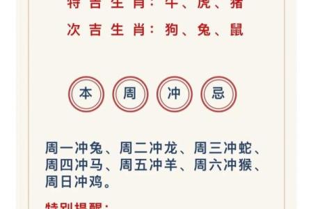 麦玲玲2013年生肖运程(麦玲玲2013年生肖运势详解)
