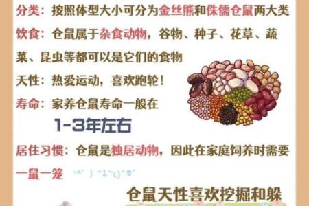 属鼠女人三大弱点 属鼠女人的弱点