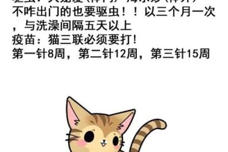 不能养猫的三个属相 不能养猫的三个属相女
