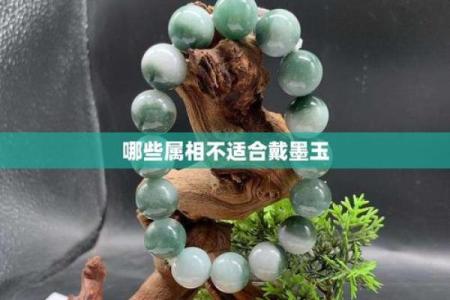 墨玉最忌三种属相 墨玉不适合哪类型人佩戴