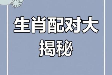 女兔男鸡的属相合不合 女兔男鸡相配婚姻会怎么样