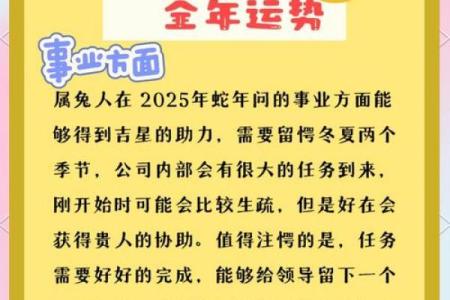 87年属兔2023年本命年运势