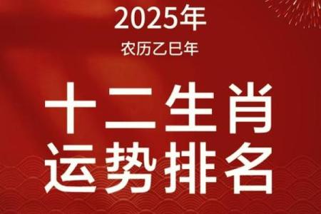 2025年53岁是哪年出生的 2025年什么年属什么生肖年