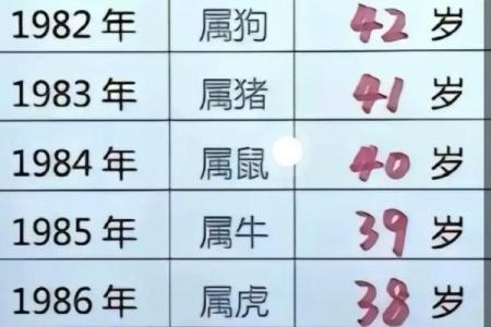 赤胆忠心代表什么生肖？揭秘十二生肖中谁最忠诚可靠