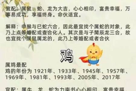 2004属猴最佳婚配 2004属猴最佳婚配年龄