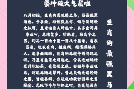 1982年出生属狗男性2025年每月运势及运程完整分析