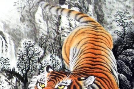 虎画挂家里有何讲究 虎画像挂哪最好
