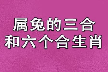 女兔和男龙属相合不合 牛男女兔属相合不合