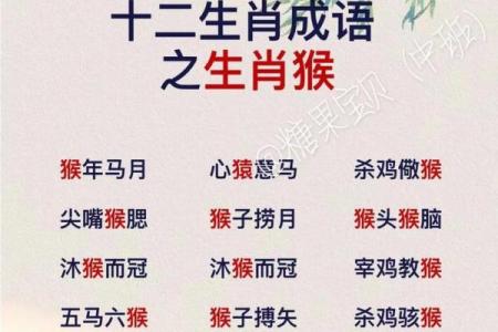 沐猴而冠打一生肖