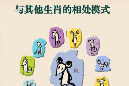 ‌天生穷相是什么生肖 → 鼠‌（鼠貌猥琐，寒酸天生）