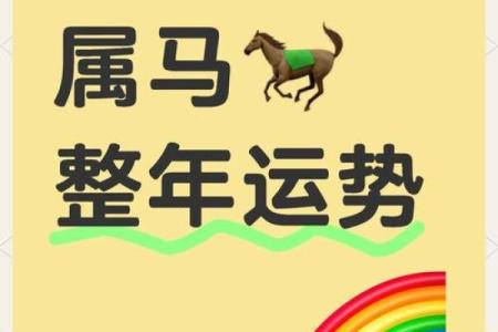 2025属马的大忌颜色 2025属马最旺颜色衣服