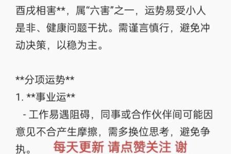 2025年属狗人如何把握天降大喜提升事业运势